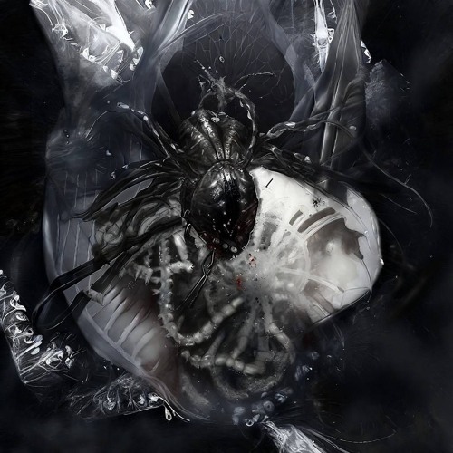 HUFFY FIBRYXX - ALL TRUE