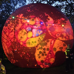 A2 INFLATING - Trippy D