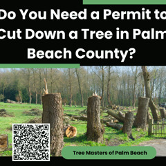 do-you-need-a-permit-to-cut-down-a-tree-in-palm-beach-county