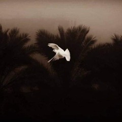 وصيتي لكم إن كنت لن أعود- أحمد شقير رحمه الله(128K).mp3