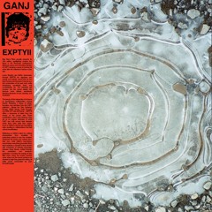 PREMIERE : GANJ - Fly on the wall feat. Renée Van Trier