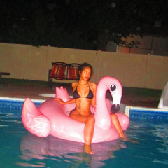 RoadRunner 13 FREESTYLE