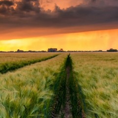 Number 52 Space Funk Disco