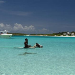 Review Special Price Anguilla Discovery Speed Boat Tour