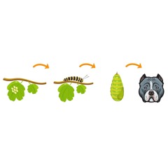 METAMORFOSIS DE UNA PUTA