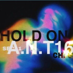HOLDON//SWITCHUP