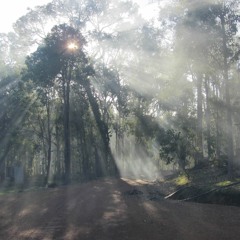 The Foggy Dew