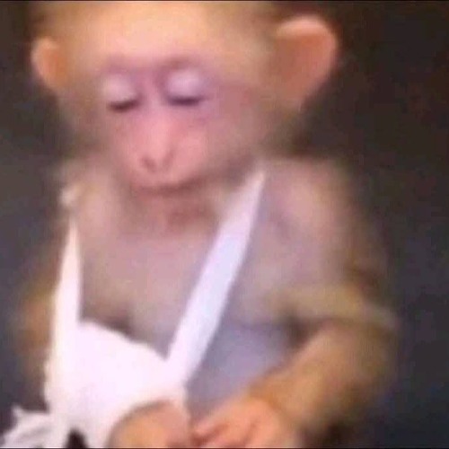 sweat party rock remix ✈