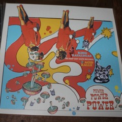 Power! (King Katalogas & Acid Kalle) - Fast Fuckers