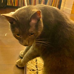 As We Go Up, We Go Down