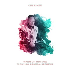 SLOW JAM MINI MIX JULY 2025 (WARM UP)