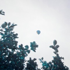 Лишь один раз