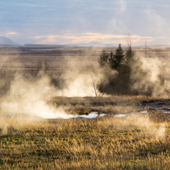 Snoadwiis - I Tokuni (Eivor Cover).mp3