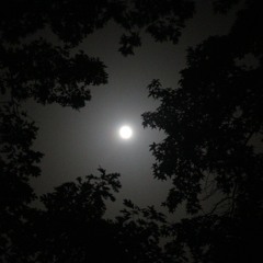 NARCOMEDUSA - Full Moon
