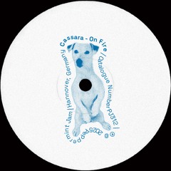 Cassara - On Fire - PJ312