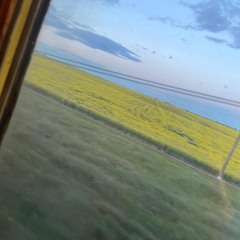 🍓🗣️🍓🗣️🍓🗣️🍓🗣️