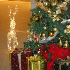 僕のクリスマスソング☆(2025再録盤)