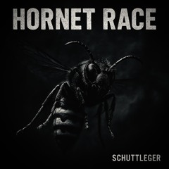 SCHUTTLEGER - Hornet Race (Edit)