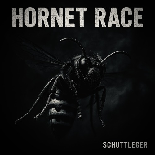 SCHUTTLEGER - Hornet Race (Edit)