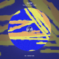 SLAMM - Numb To The Flash