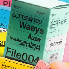 mugen @ datadrift - FILE004