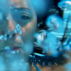 Caméléon