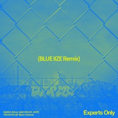 DANNY AVILA, SAM WOLFE, HNTR (ft. Rome Fortune) - YES B!TCH (BLUE IIZE Extended Remix)
