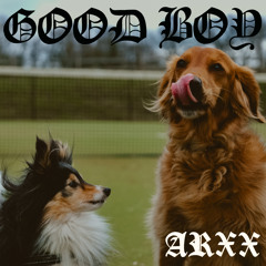 Good Boy
