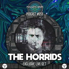 Exclusive Podcast #059 | with THE HORRIDS ( Transubtil Records )