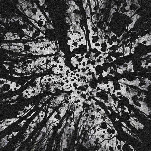 Astraldivinity X Contento - morte termica138 [free dl]