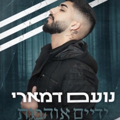 ‎⁨נועם דמארי - ידיים אוהבות Noam Damari cover⁩