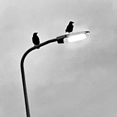 In the Night, Darkness Prevailed