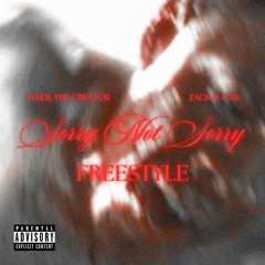 SORRY NOT SORRY (freestyle)