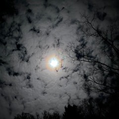 11. Portals Of Possibility