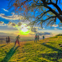 25_01_19 Short Wave 525