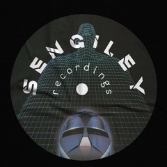 DC Promo Tracks #708: Sisto & Pedro Floriani "Steel City (Marc Brauner Remix)"
