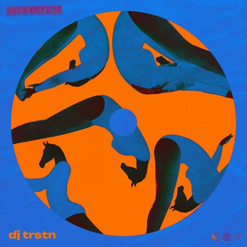 DARK HORSE TAKE ME HIGHER (TRSTN EDIT)