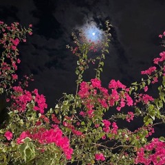 في طَرفها الجَنة 🩷.