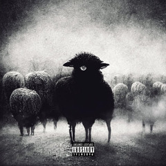 404Billy - mouton noir