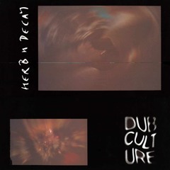 Dub Culture - When The Party's Over ft. Mikey Brooks