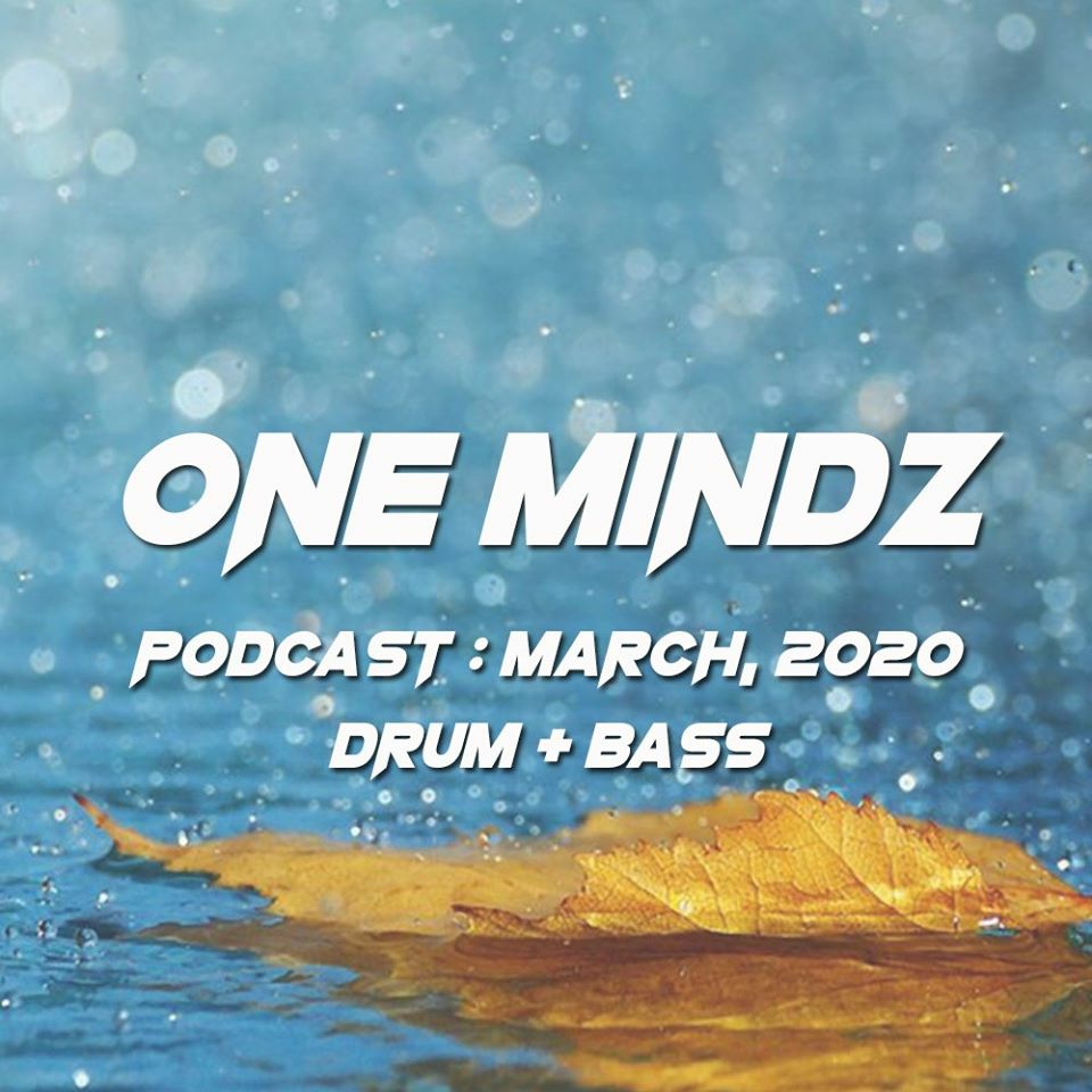 One Mindz Podcast (Drum & Bass)