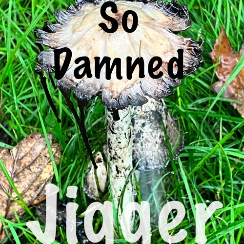Jigger - So Damned