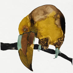 Dlora Yelps (feat. Cosmo Sheldrake)