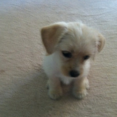 i miss you i'm so ugly_