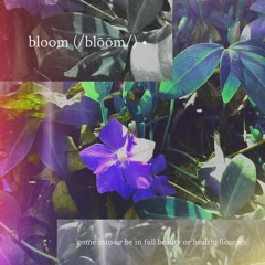 bloom [xmichaelwarren]