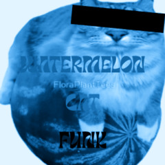 WATERMELON CAT FUNK (SUPER SLOWED AND REVERBED)