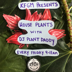 Live! At 101.5 KFGM 12/13/24