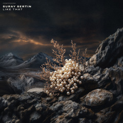 Suray Sertin - Like That
