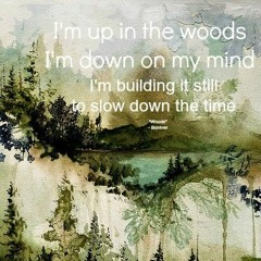 Bon Iver - Woods [sideprojektStrider. Remix] [cut]