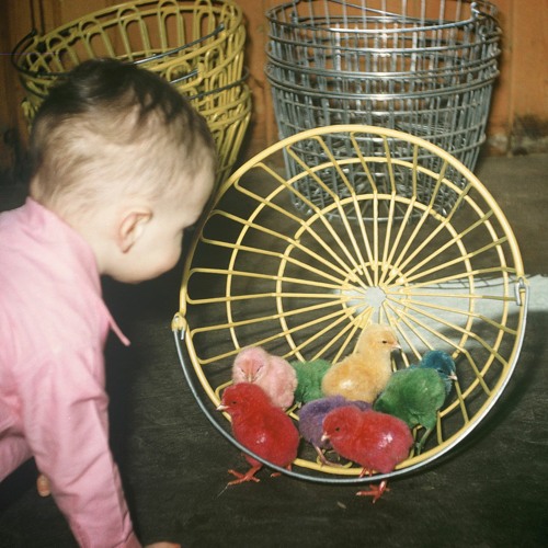 Instrumental Cover of "David Sanborn - Maputo" (re-imgined by tprentis)